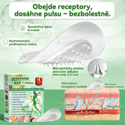 🌱BSWELL® Nano mikrovpichová zeštíhlující náplast✨(Stačí použít pouze jednou denně – viditelné změny již za 28 dní) ✅Bezbolestná, dlouhotrvající, zaměřená na řešení cukrovky, obezity a kardiovaskulárních onemocnění