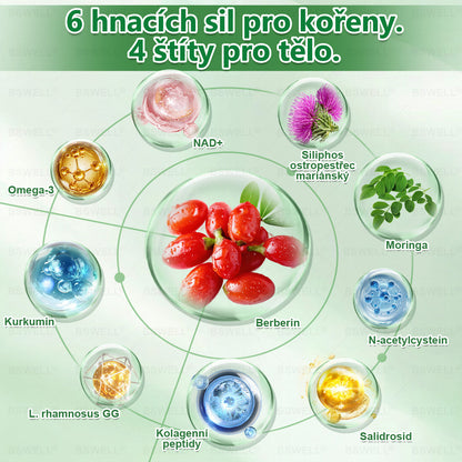 🌱BSWELL® Nano mikrovpichová zeštíhlující náplast✨(Stačí použít pouze jednou denně – viditelné změny již za 28 dní) ✅Bezbolestná, dlouhotrvající, zaměřená na řešení cukrovky, obezity a kardiovaskulárních onemocnění